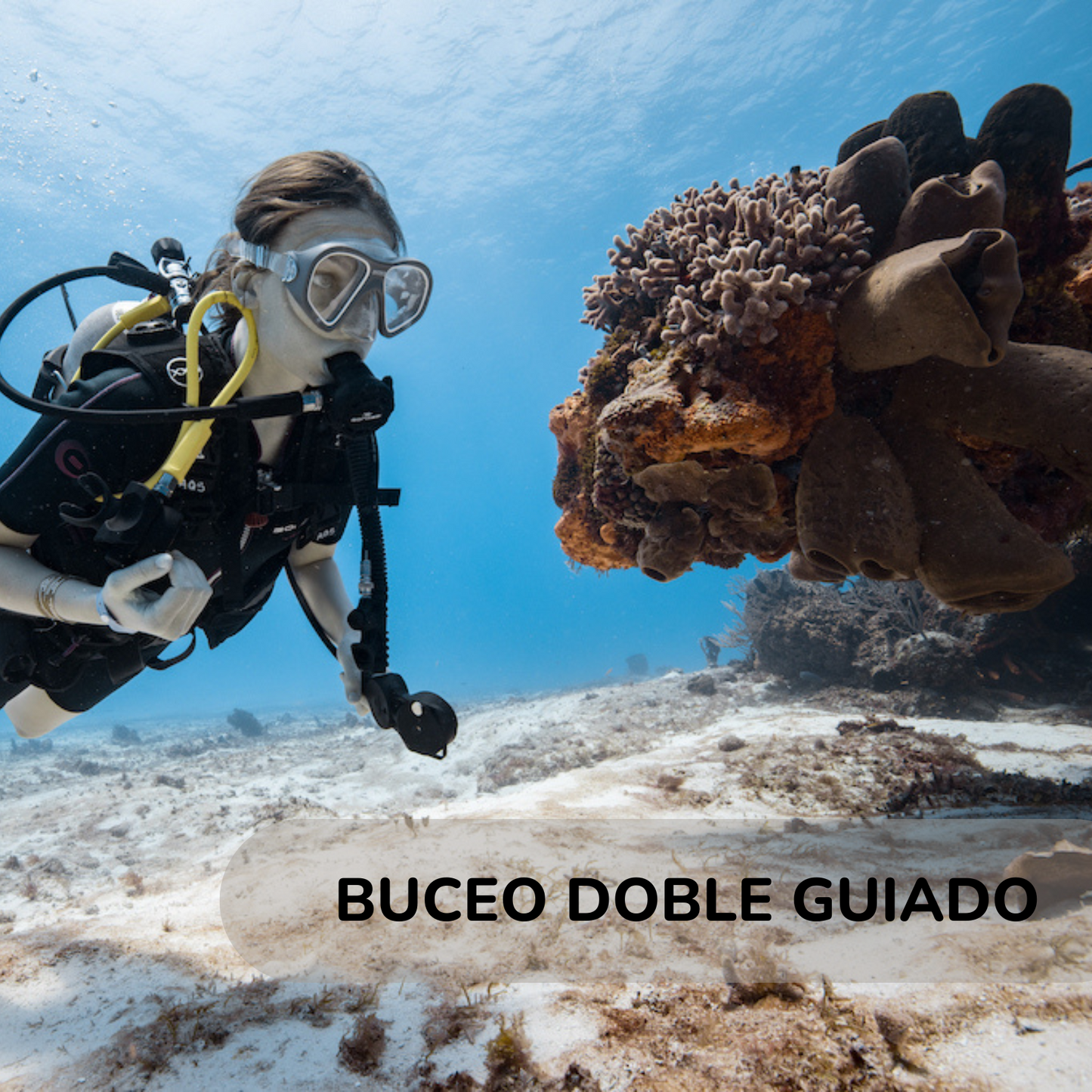Buceo Guiado 2 Tanques (Cozumel)