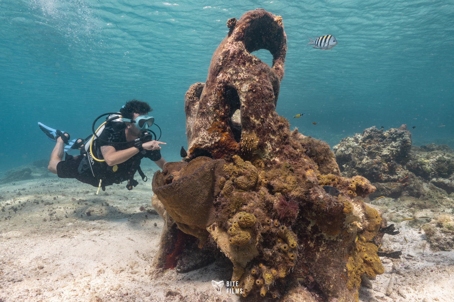 Primera Experiencia de Buceo (Discover Scuba Diving)