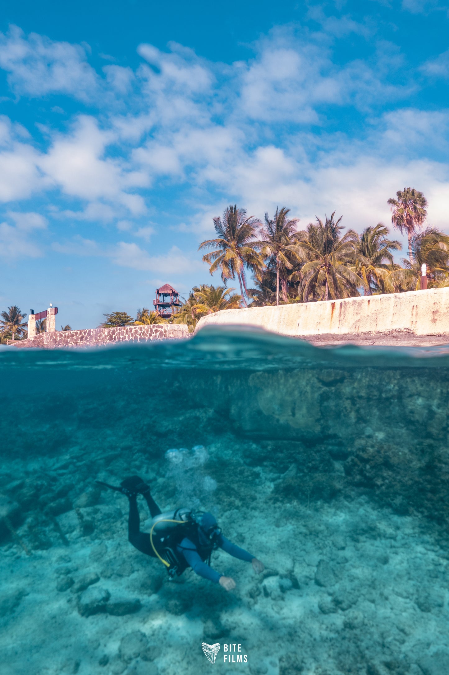 Discover Scuba Diving (Buceo desde barco)