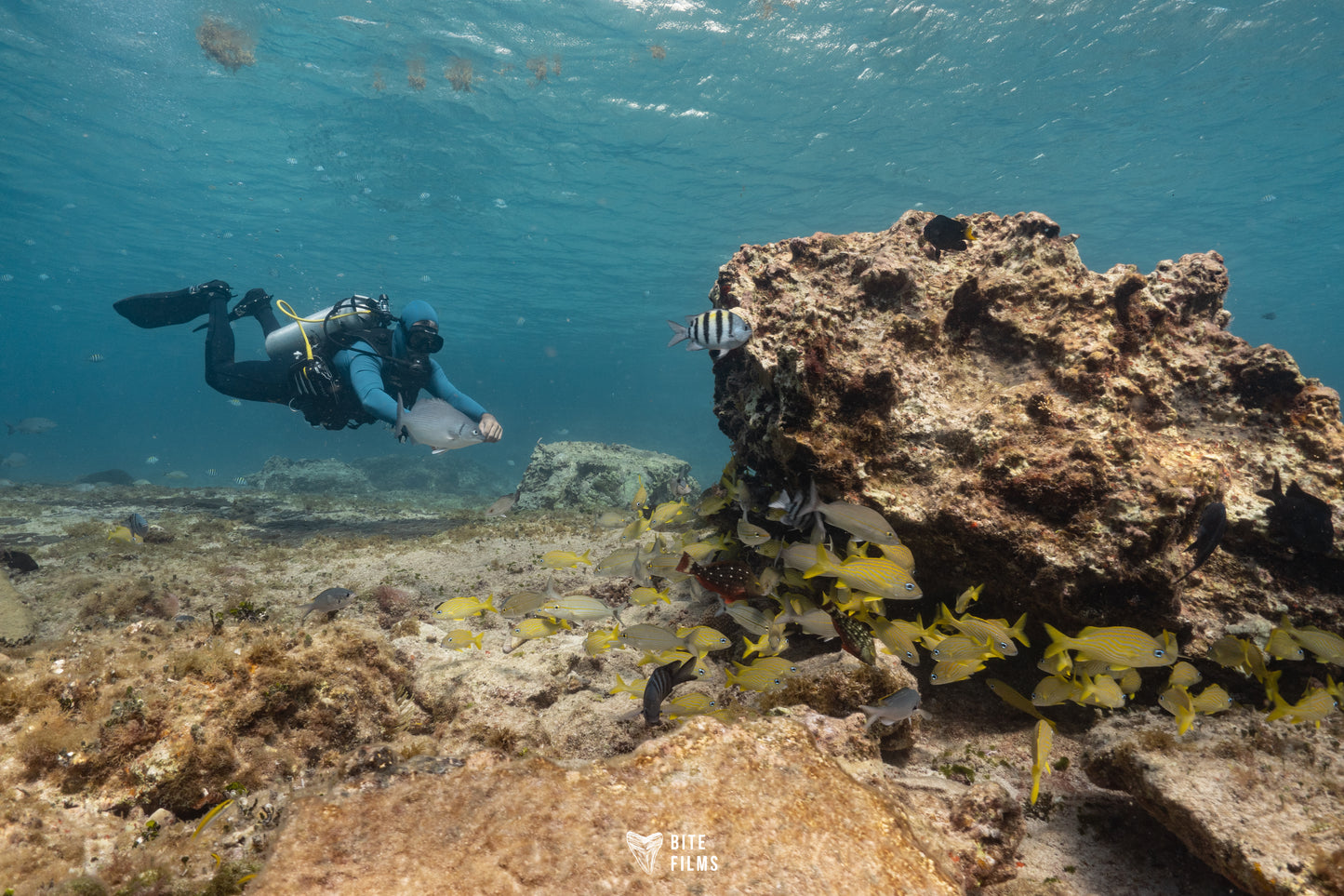 Advanced Open Water Diver