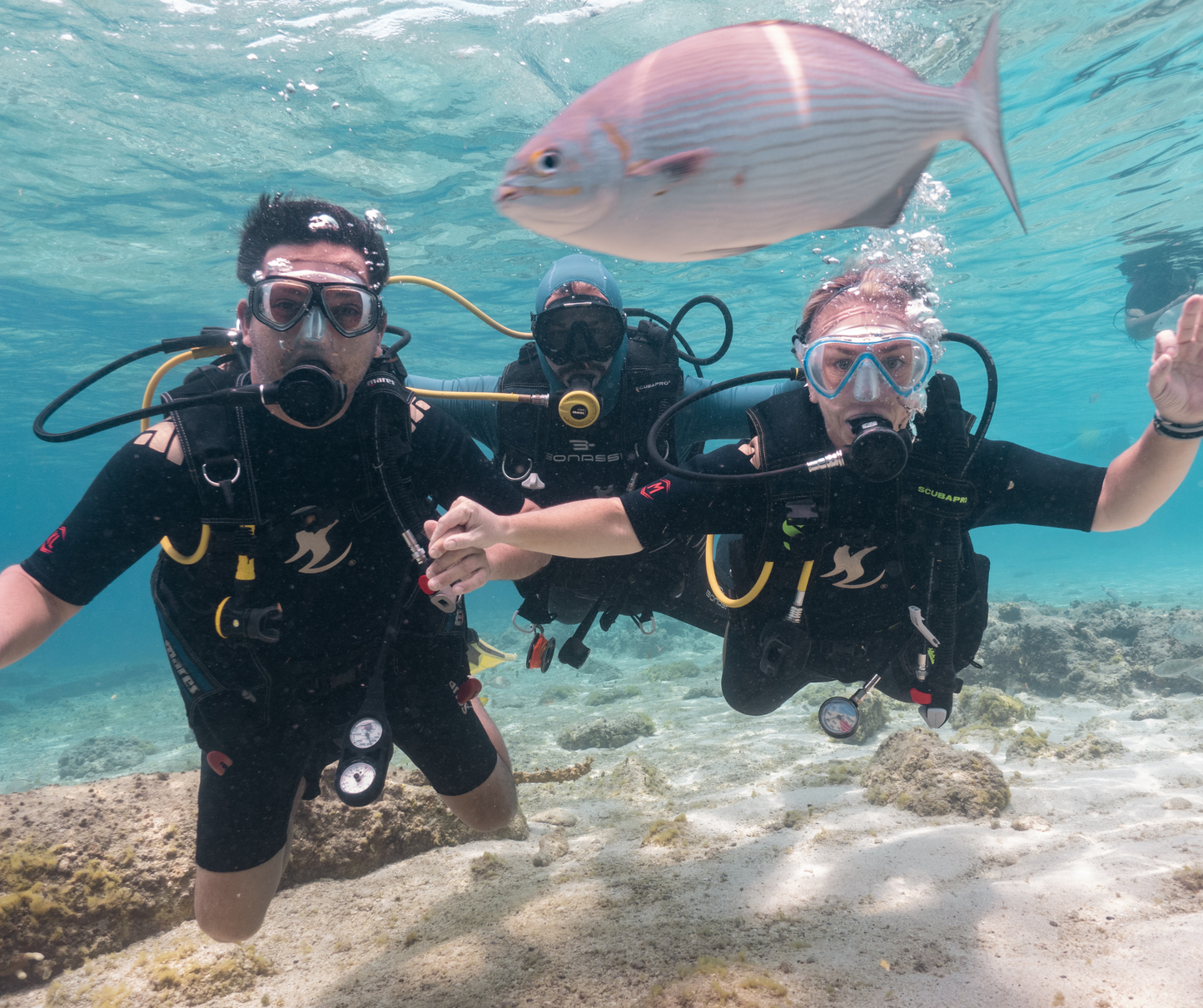 Discover Scuba Diving (Buceo desde barco)