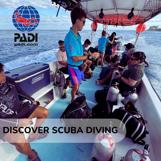 Discover Scuba Diving (Buceo desde barco)